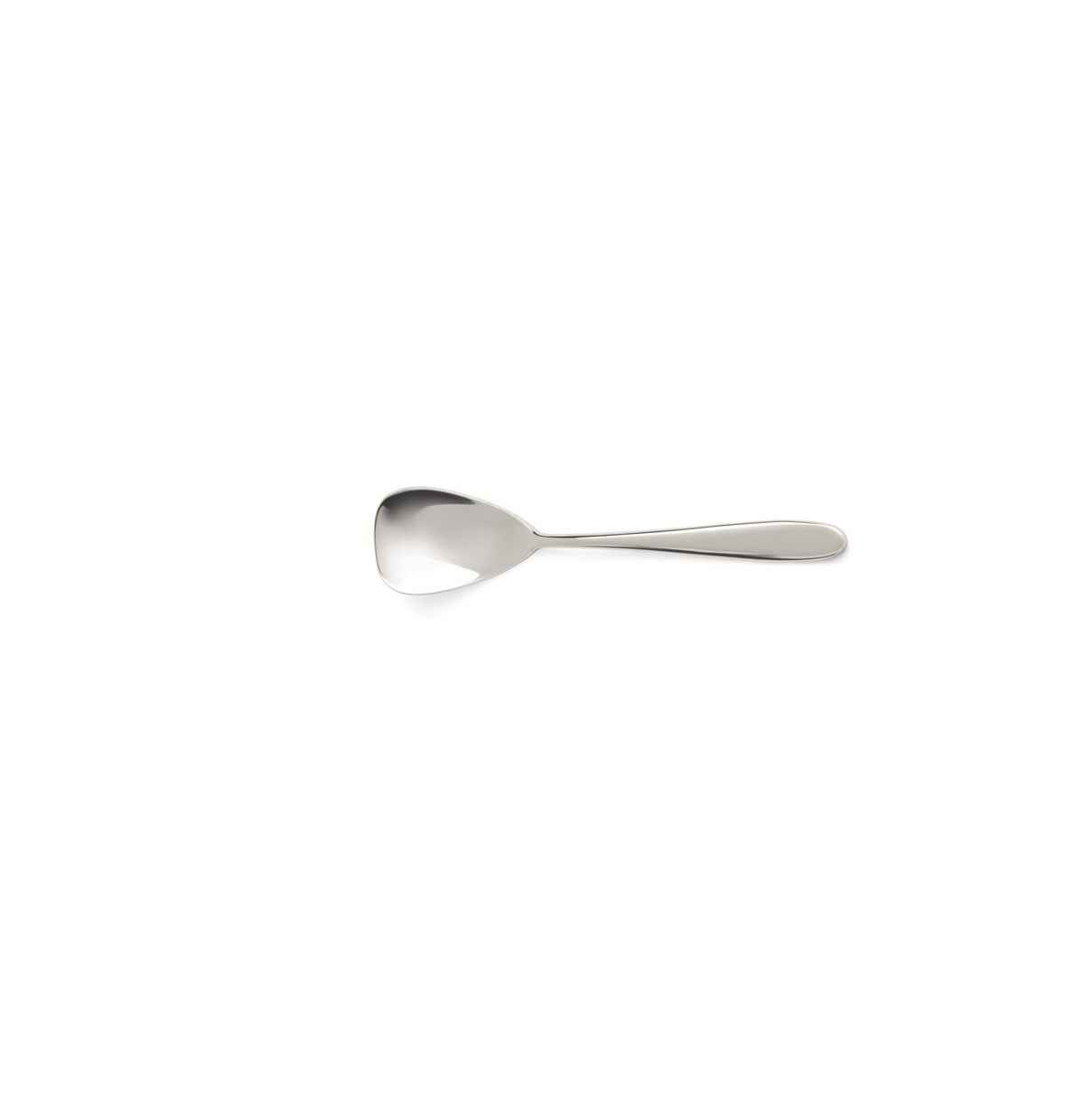 Turquoise - 12-piece ice cream spoon