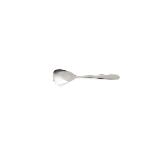 Turquoise - 12-piece ice cream spoon