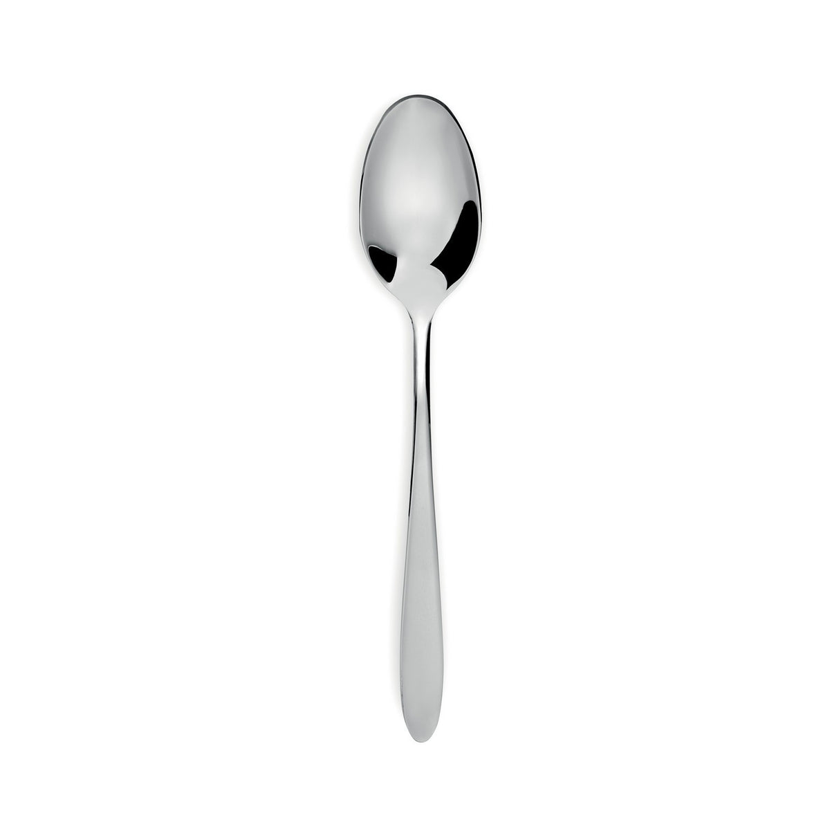 Turquoise - 12-piece table spoon