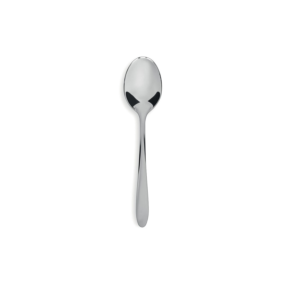 Turquoise - 12 pieces coffee spoon