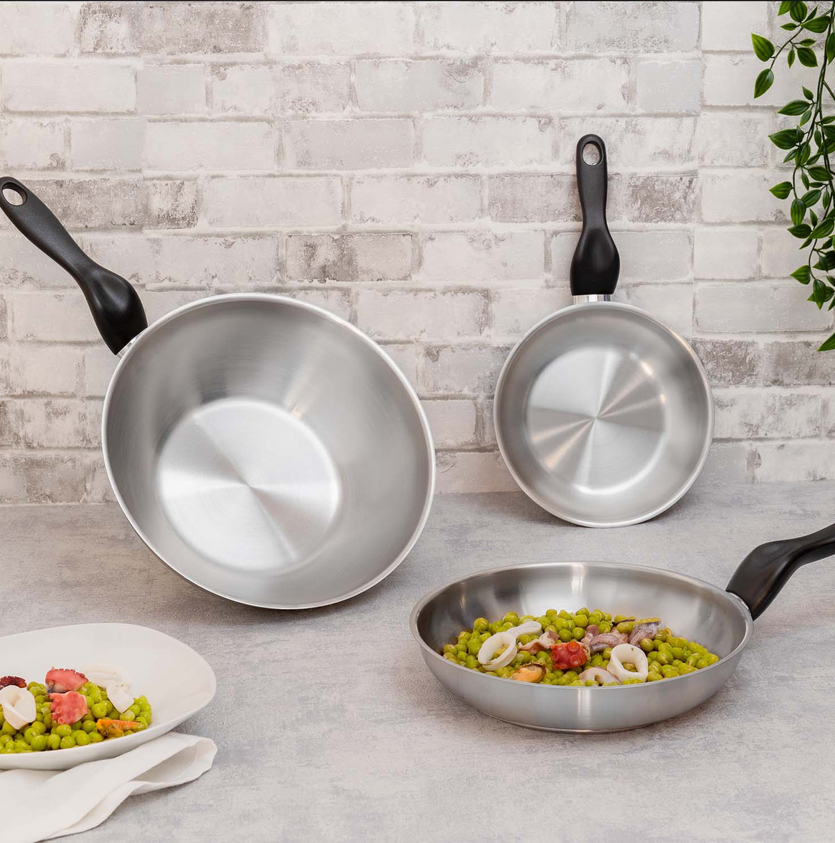 Basic stainless steel - 24 cm frying pan + 28 cm wok set